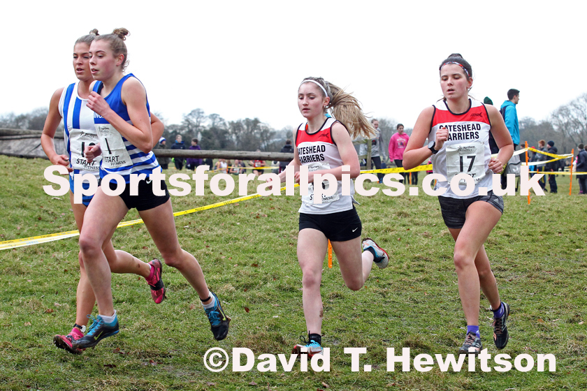 Womens under-20 Northern Cross Country Champs., Camp Hill Estate, Kirklington.  Photo: David T. Hewitson/Sports for All Pics